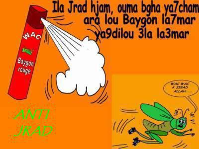 jrad hjem khasso baygon